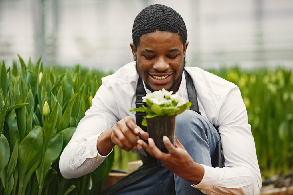 An African gardener in an apron tending to plants in a greenhouse.